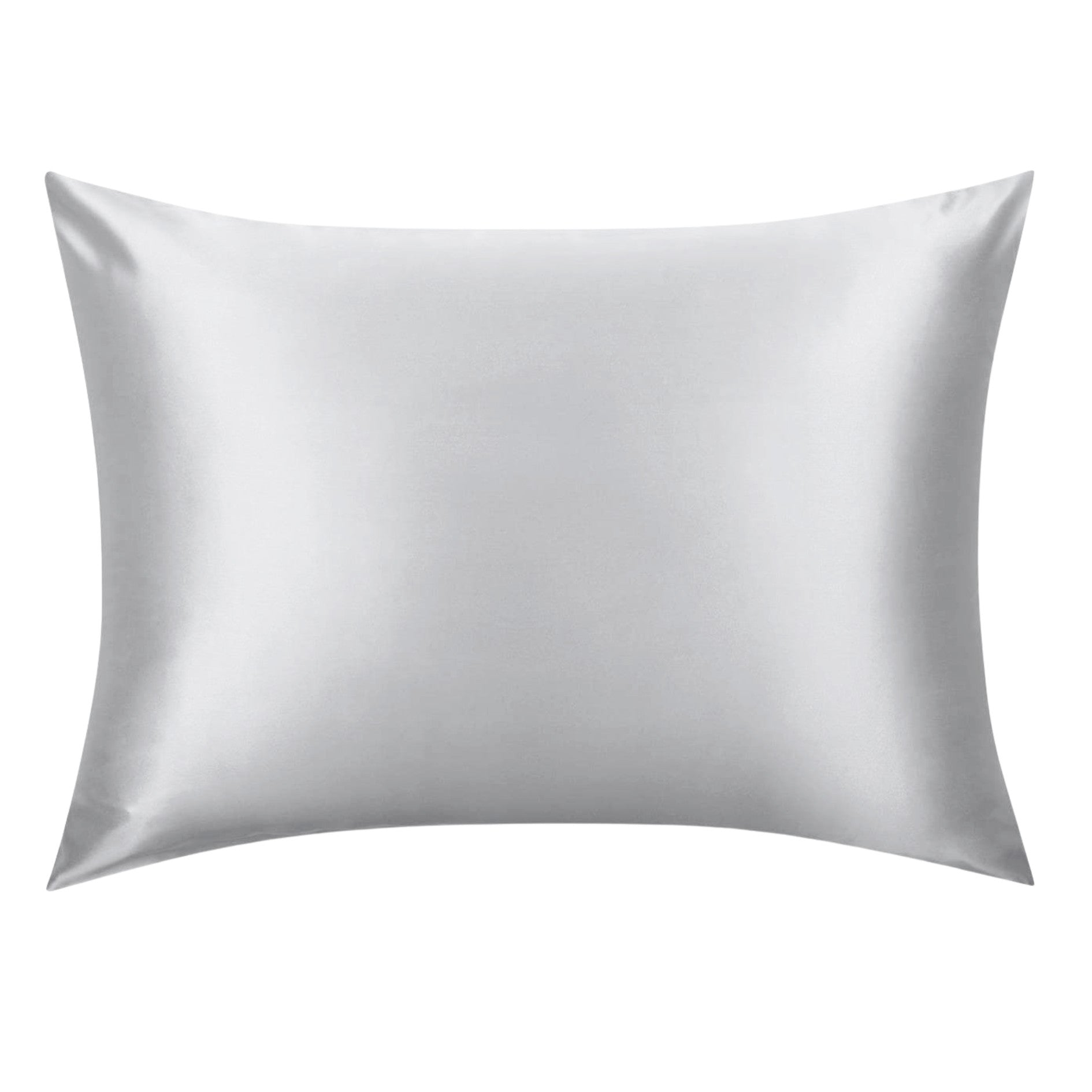 Silver 100% Silk Pillowcase