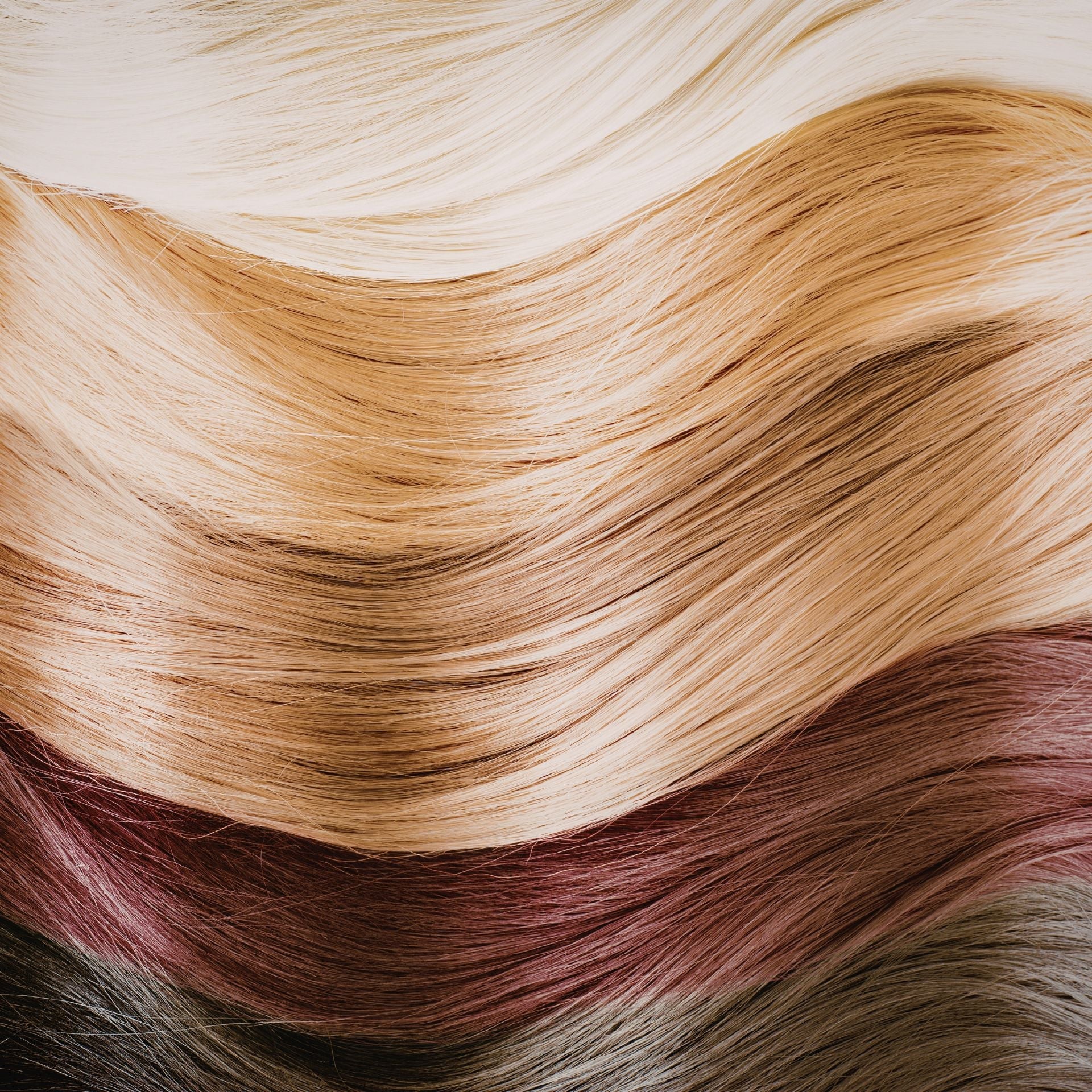 Colour-treated or bleached hair